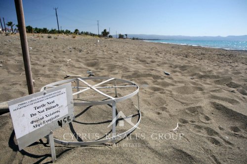 Turtle nest on the beach in Argaka, Cyprus.