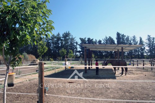 Geroskipou Equestrian - horse rides and lessons for children and adults