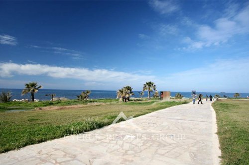 Paphos Coastal Broad walk in spring