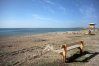 Sandy beach at Mardria, near Paphos.