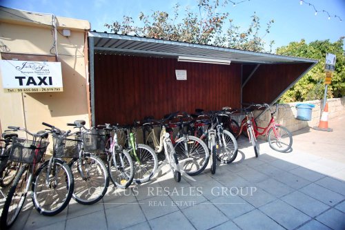 Bike rental 5 euro per day in Mandria.