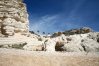 Oasis in Sea Caves, Paphos, Cyprus