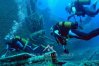 Located on the coast of Cyprus,  MS Zenobia has been rated one of the top 10 wreck dives in the world.