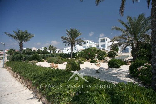 Leptos Apollo Beach Villas in Chloraka, Paphos, Cyprus